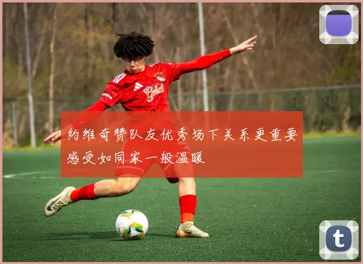 约维奇赞队友优秀场下关系更重要感受如同家一般温暖